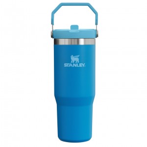 Stanley The IceFlow Flip Straw Tumbler | 30 OZ | Insulated Water Mavi | 83FWZQGHP