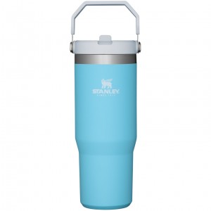 Stanley The IceFlow Flip Straw Tumbler | 30 OZ | Insulated Water Pool | 57DMJPGUZ