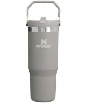 Stanley The IceFlow Flip Straw Tumbler | 30 OZ | Insulated Water Ash | 28SICUPXJ