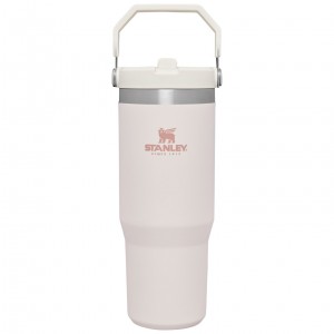Stanley The IceFlow Flip Straw Tumbler | 30 OZ | Insulated Water Pembe | 62XWQVPTN