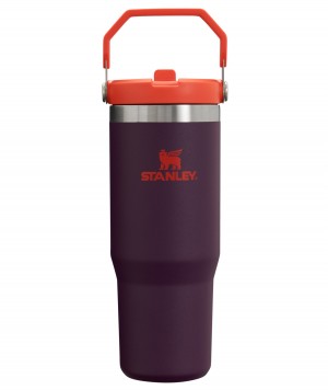 Stanley The IceFlow Flip Straw Tumbler | 30 OZ | Insulated Water Plum | 70FEKDQMP