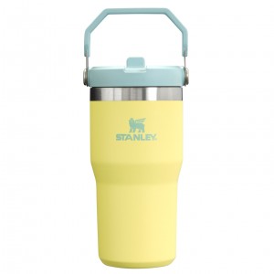 Stanley The IceFlow Flip Straw Tumbler | 20 OZ | Insulated Su Bottle Pomelo | 16MZHVNAQ