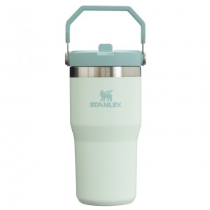 Stanley The IceFlow Flip Straw Tumbler | 20 OZ | Insulated Su Bottle Mist | 68GEQNBDH