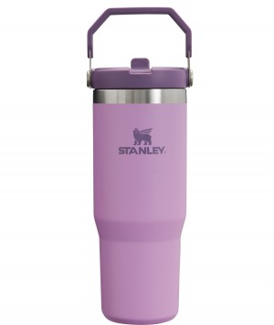 Stanley The IceFlow Flip Straw Tumbler | 30 OZ | Insulated Water Lilac | 82KRHVPBU