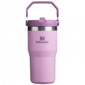 Stanley The IceFlow Flip Straw Tumbler | 20 OZ | Insulated Water Tumbler | Sta Lilac | 96JUIALKZ