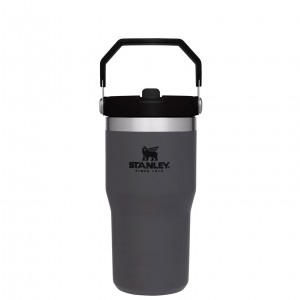 Stanley The IceFlow Flip Straw Tumbler | 20 OZ | Insulated Water Tumbler | Sta Charcoal | 28FPVLGCY