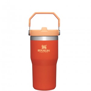 Stanley The IceFlow Flip Straw Tumbler | 20 OZ | Insulated Water Tumbler | Sta Tigerlily | 40ZAIPLFU