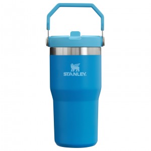 Stanley The IceFlow Flip Straw Tumbler | 20 OZ | Insulated Su Bottle Mavi | 26QOZFPBY