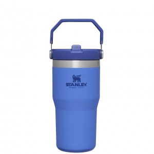 Stanley The IceFlow Flip Straw Tumbler | 20 OZ | Insulated Water Tumbler | Sta Iris | 49CDKYOVX