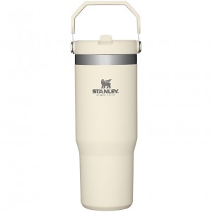 Stanley The IceFlow Flip Straw Tumbler | 30 OZ | Insulated Water Krema | 91NIHJGEZ