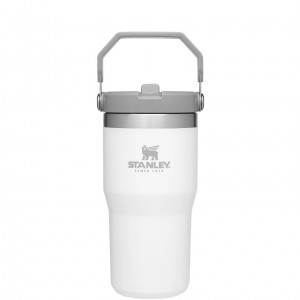 Stanley The IceFlow Flip Straw Tumbler | 20 OZ | Insulated Water Tumbler | Sta Polar | 98EIDGLAH