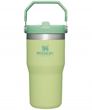 Stanley The IceFlow Flip Straw Tumbler | 20 OZ | Insulated Water Tumbler | Sta Citron | 75JRKZSAF