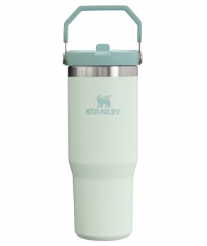 Stanley The IceFlow Flip Straw Tumbler | 30 OZ | Insulated Water Mist | 42JZNBXQC