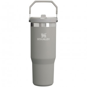Stanley The IceFlow Flip Straw Tumbler | 30 OZ | Insulated Water Ash | 70BYISDGC