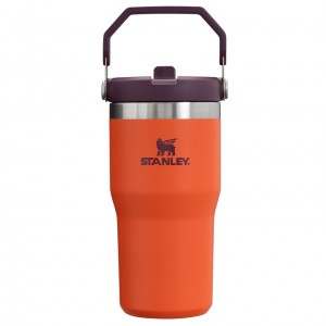Stanley The IceFlow Flip Straw Tumbler | 20 OZ | Insulated Su Bottle Tigerlily Plum | 70HPGOMEK