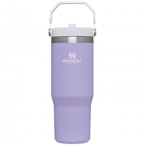 Stanley The IceFlow Flip Straw Tumbler | 30 OZ | Insulated Water Lavanta | 02HKIZRDA