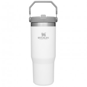Stanley The IceFlow Flip Straw Tumbler | 30 OZ | Insulated Water Polar | 01GAEYRFU