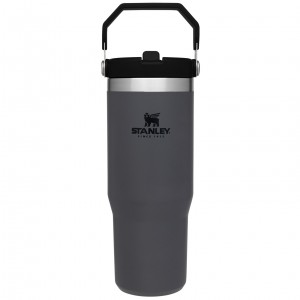 Stanley The IceFlow Flip Straw Tumbler | 30 OZ | Insulated Water Charcoal | 23XPYKFOB