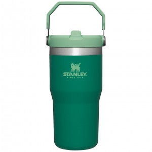 Stanley The IceFlow Flip Straw Tumbler | 20 OZ | Insulated Water Tumbler | Sta Alpine | 94SCVLXPD