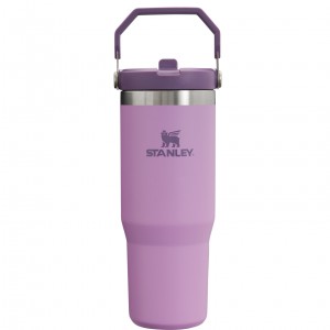 Stanley The IceFlow Flip Straw Tumbler | 30 OZ | Insulated Water Lilac | 79QVAEOKC