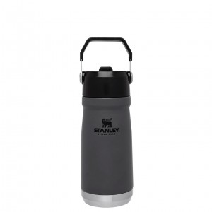 Stanley The IceFlow Flip Straw Water Bottle | 17 OZ | Insulated Bottle | Stanl Charcoal | 02YZTKQCJ