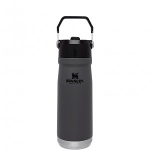 Stanley The IceFlow Flip Straw Water Bottle | 22 OZ | Insulated Bottle | Stanl Charcoal | 84FPXIVYR