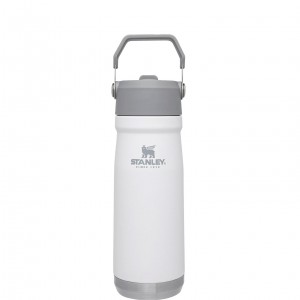 Stanley The IceFlow Flip Straw Water Bottle | 22 OZ | Insulated Bottle | Stanl Polar | 71FRGCJHI