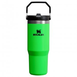 Stanley The Neon IceFlow™ Flip Straw Tumbler | 30 OZ - Stanley Create Yeşil | 78MLWTEXC