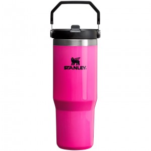 Stanley The Neon IceFlow™ Flip Straw Tumbler | 30 OZ - Stanley Create Pembe | 38CTSADNB
