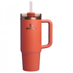 Stanley The Pumpkin Spice Quencher H2.O FlowState™ Tumbler I 30 OZ Spice | 31RMAUCLS