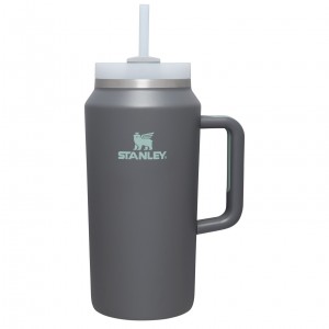 Stanley The Quencher H2.0 FlowState™ Tumbler | 64 OZ Charcoal | 54OVZGQTM