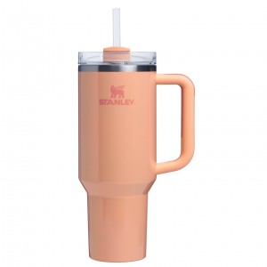 Stanley The Quencher H2.0 FlowState™ Tumbler | 40 OZ Bellini Shimmer | 85SJWQNZI