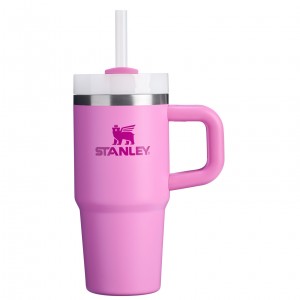 Stanley The Quencher H2.O FlowState™ Tumbler with Handle & Straw | 14 OZ Peony | 79FBSQCUW
