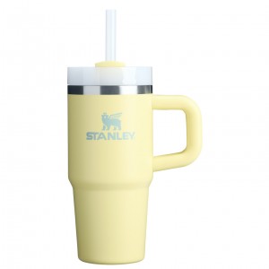 Stanley The Quencher H2.O FlowState™ Tumbler with Handle & Straw | 14 OZ Pomelo | 71TOVSHEM