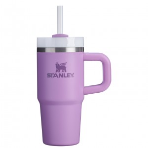 Stanley The Quencher H2.O FlowState™ Tumbler with Handle & Straw | 14 OZ Lilac | 80NDFGSYI