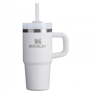 Stanley The Quencher H2.O FlowState™ Tumbler with Handle & Straw | 14 OZ Frost | 70BWQNXKC