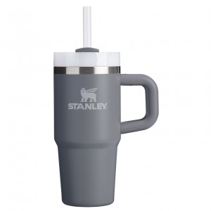 Stanley The Quencher H2.O FlowState™ Tumbler with Handle & Straw | 14 OZ Stone | 64VRGDZCW