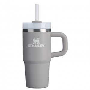Stanley The Quencher H2.O FlowState™ Tumbler with Handle & Straw | 14 OZ Ash | 51LIMKHUJ