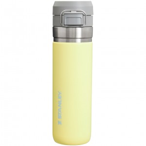 Stanley The Quick Flip Go Water Bottle | 24 OZ Pomelo | 47RASGFTB