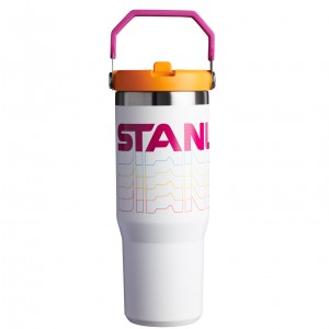 Stanley The Reverb IceFlow™ Flip Straw Tumbler I 30 oz Frost Reverb | 40OAHUMYI