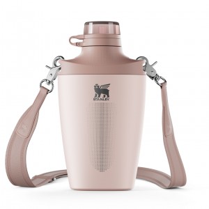 Stanley The Stanley Cross Bottle | 23 OZ Pembe | 29OUBWRYG