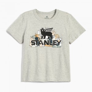 Stanley The Thirsty Women's Boxy Tee Gri | 76JQNSCIY