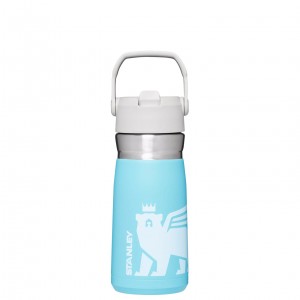 Stanley The Wild Imagination IceFlow Flip Straw Water Bottle | 17 OZ Pool Cub | 25XCBSYRA