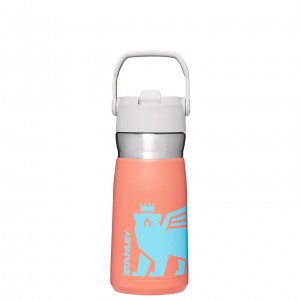 Stanley The Wild Imagination IceFlow Flip Straw Water Bottle | 17 OZ Grapefruit Cub | 37KQOEBMX